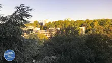 Eclipse de soleil par projection avec des jumelles 013